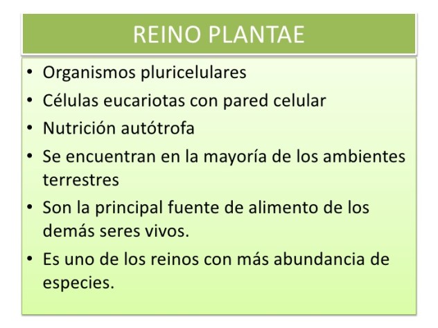 tema-9-plantae-2-728